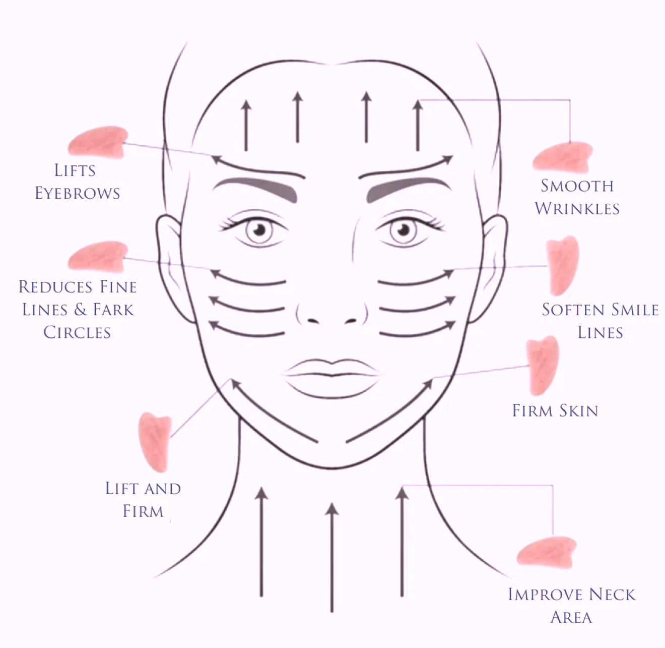 Gua Sha & Daily Face Oil