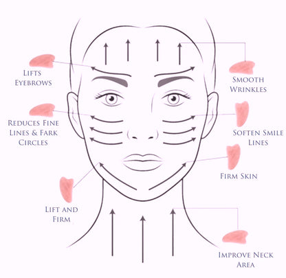 Gua Sha & Daily Face Oil